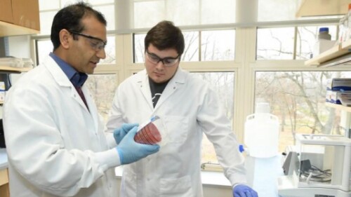 Two epidemiologists work together in a lab