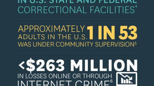 Crime By The Numbers infographic