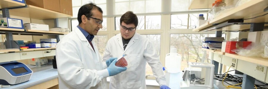 two public health professionals in lab coats working in a lab