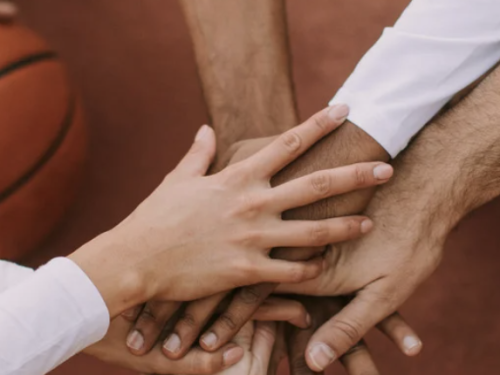 SEPP Blog Header Image 3