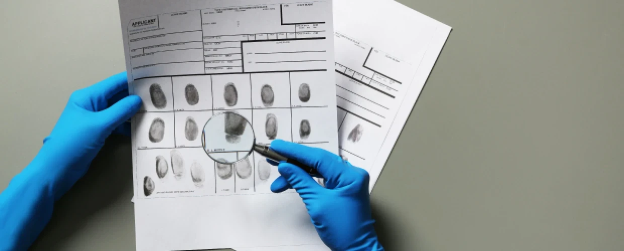 Criminology and Criminal Justice Careers and Salaries