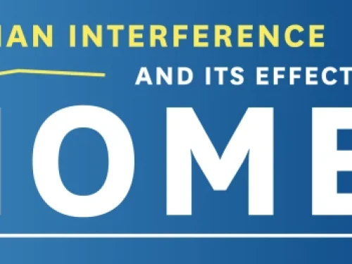 Understanding the Different Types of Biomes