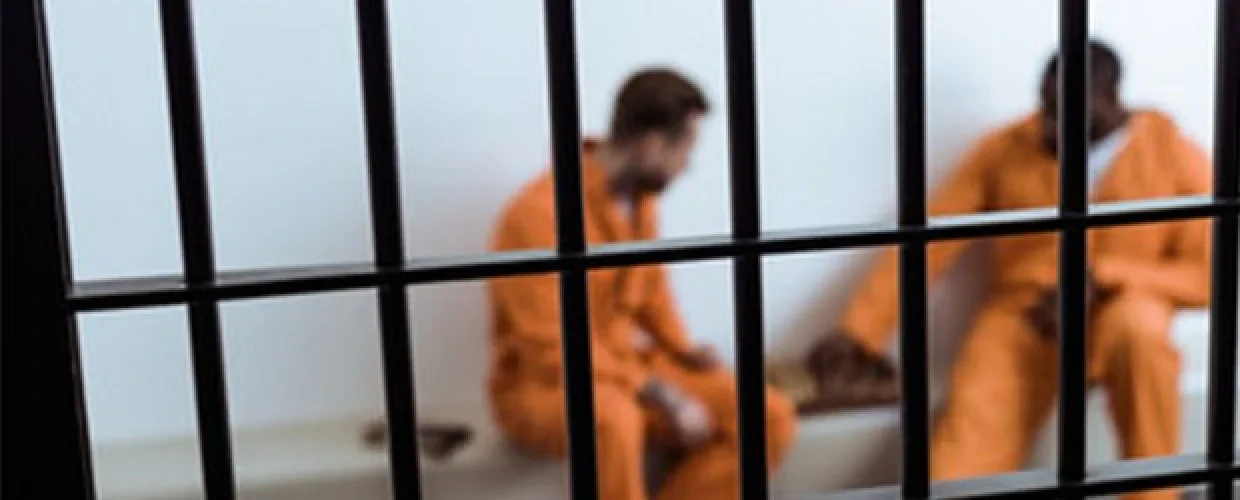 Incarceration Rates in the U.S. - Online Degrees & Programs | Kent State University