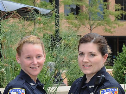 CRIM Blog Header Image