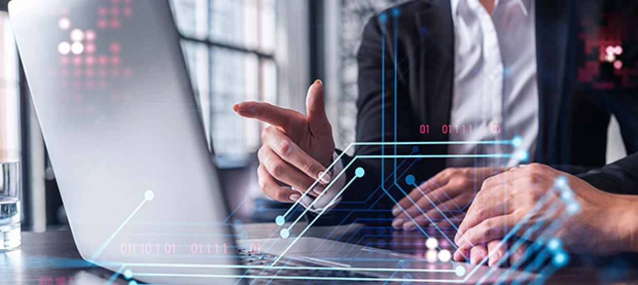 Examples of Public Sector IT Solutions