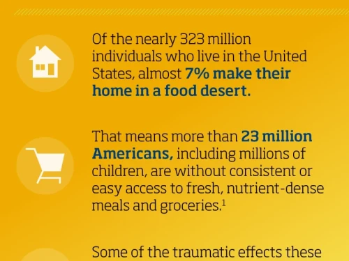 How Poverty And Suburbanization Have Impacted Public Health infographic