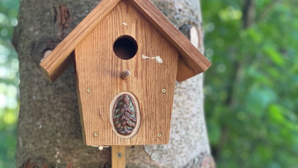 birdhouse on a tree