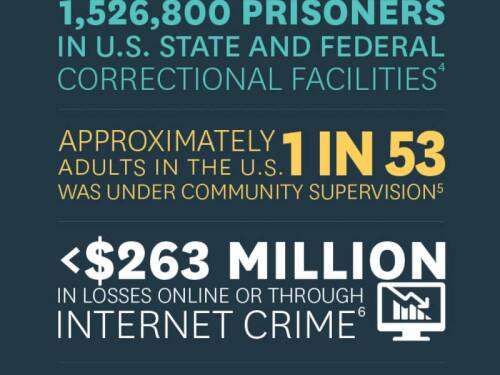 Crime By The Numbers infographic