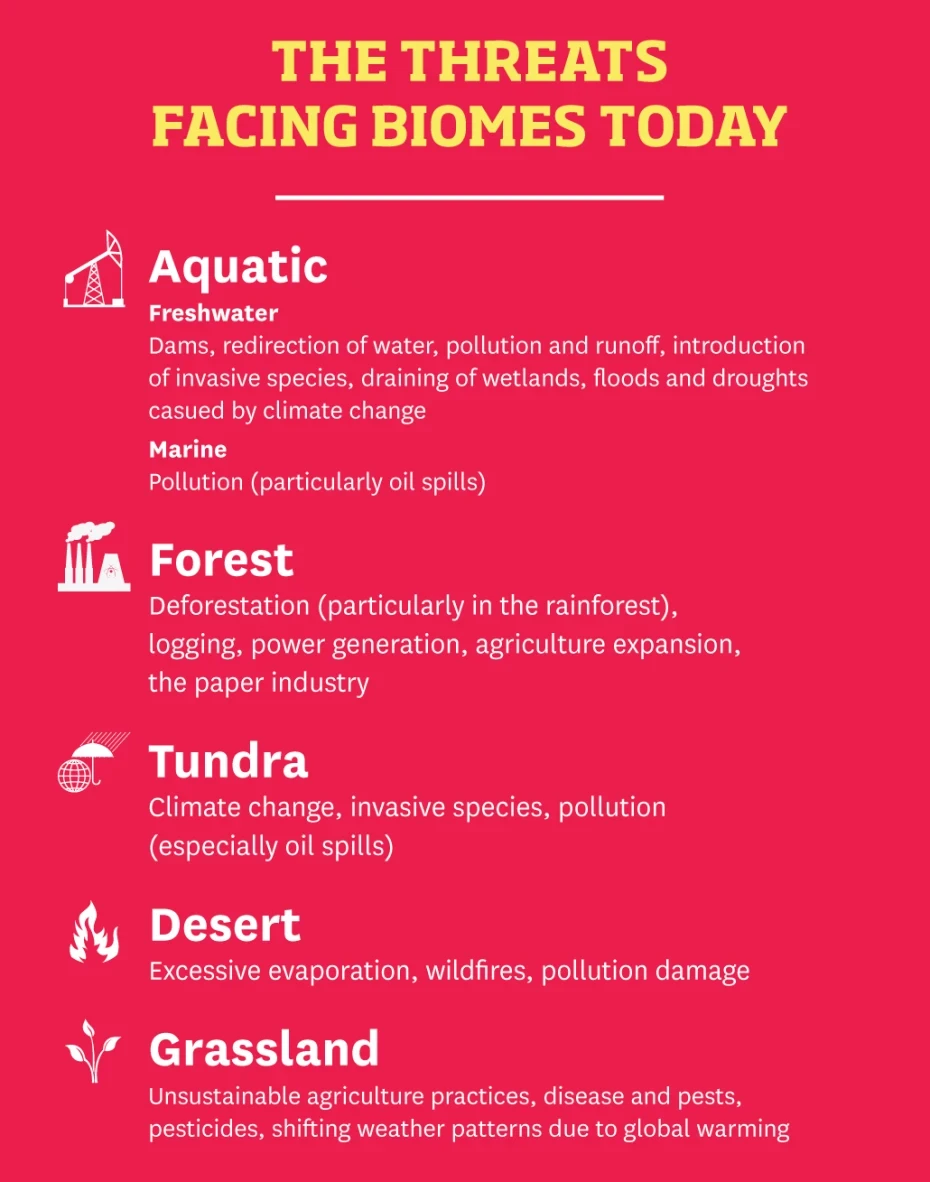 Understanding the Different Types of Biomes infographic