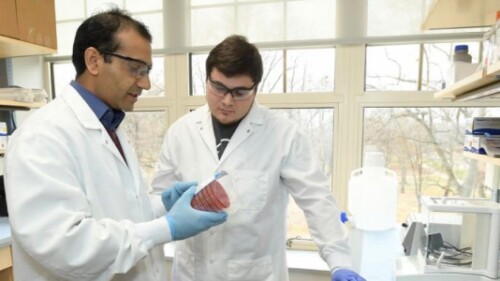 two public health professionals in lab coats working in a lab