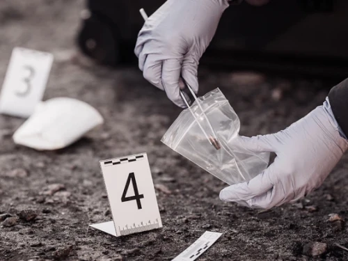 CSI Jobs-an Exciting Career Path