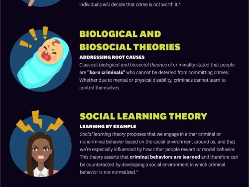 Major Criminology Theories infographic