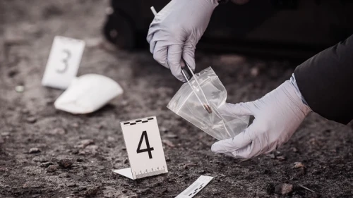 CSI Jobs-an Exciting Career Path
