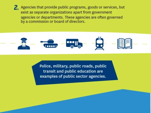 The Importance of the Public Sector infographic