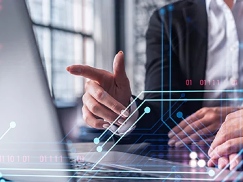 Examples of Public Sector IT Solutions