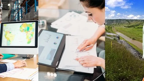 Three images of different student researching methods