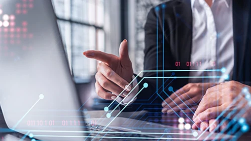 Examples of Public Sector IT Solutions