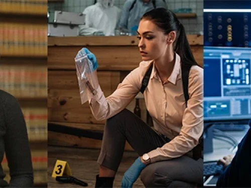 10 Best Criminal Justice Jobs