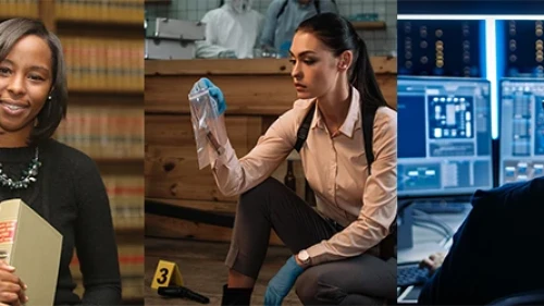 10 Best Criminal Justice Jobs