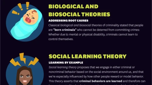 Major Criminology Theories infographic