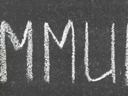 CF Astrid Blog Course Header Image