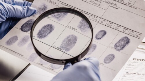 investigator examines fingerprints with magnifying glass