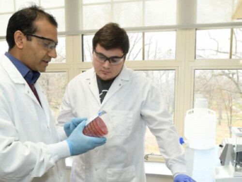 two public health professionals in lab coats working in a lab