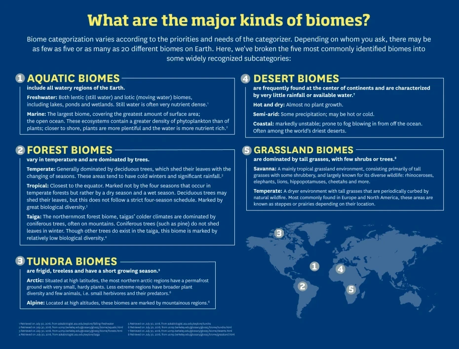 Understanding the Different Types of Biomes infographic