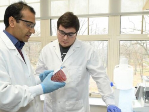 Two epidemiologists work together in a lab